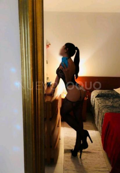 NuevoLoquo3