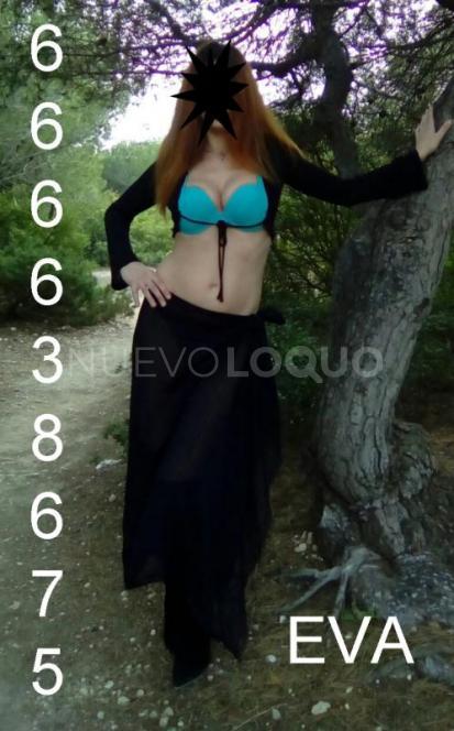NuevoLoquo3