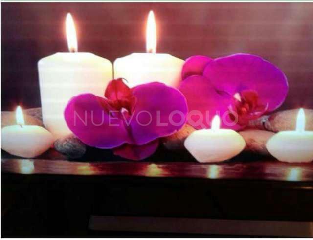 NuevoLoquo2