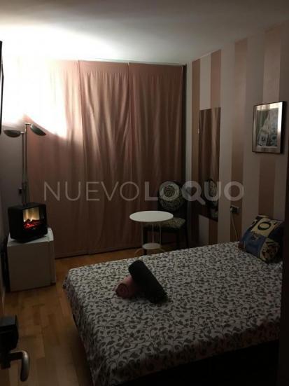 NuevoLoquo5