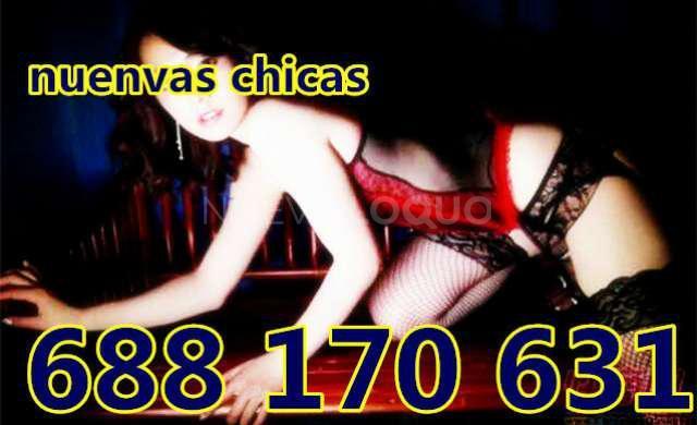 NuevoLoquo2
