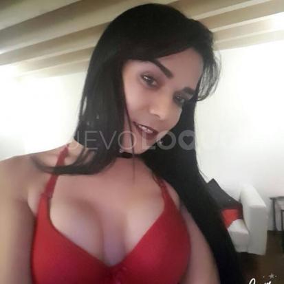 NuevoLoquo1