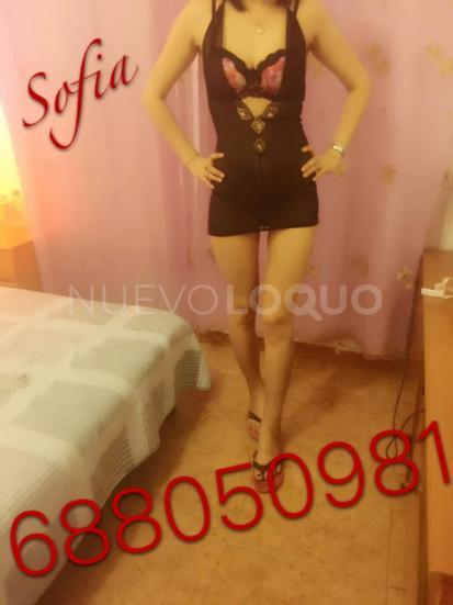 NuevoLoquo2