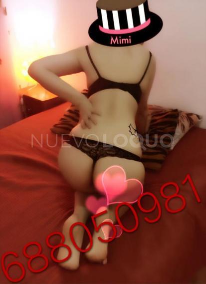 NuevoLoquo3