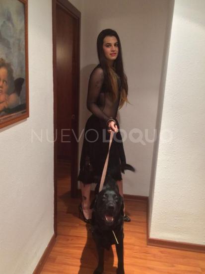 NuevoLoquo1