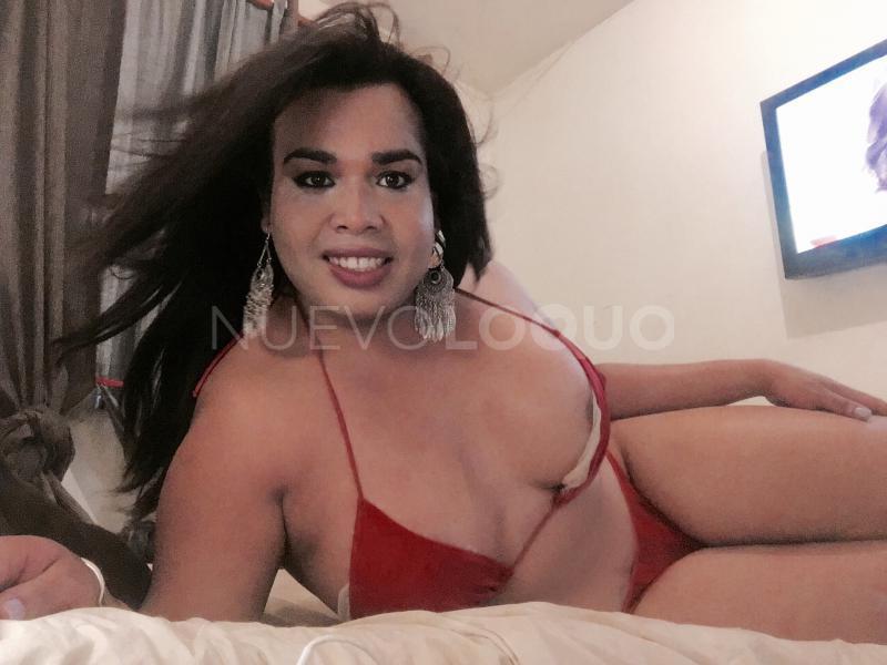NuevoLoquo0