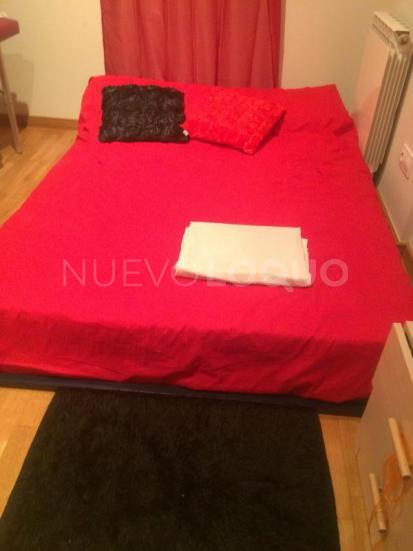 NuevoLoquo3