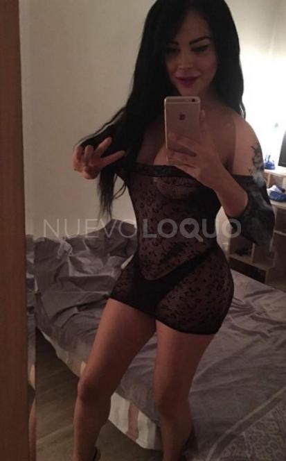 NuevoLoquo3