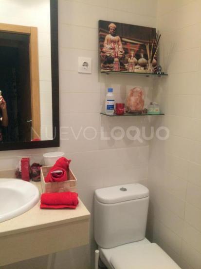 NuevoLoquo3