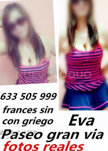 NuevoLoquo2
