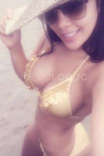 NuevoLoquo1