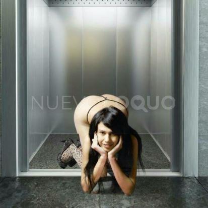 NuevoLoquo1