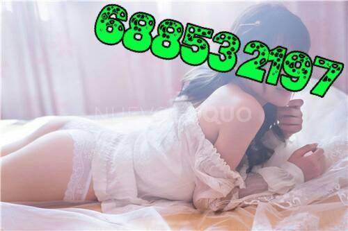 NuevoLoquo3