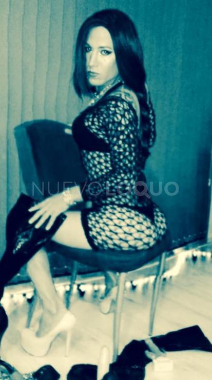NuevoLoquo2