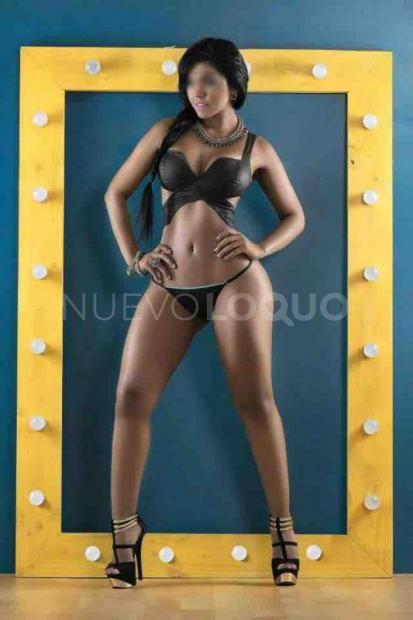 NuevoLoquo3