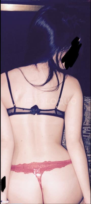 NuevoLoquo3