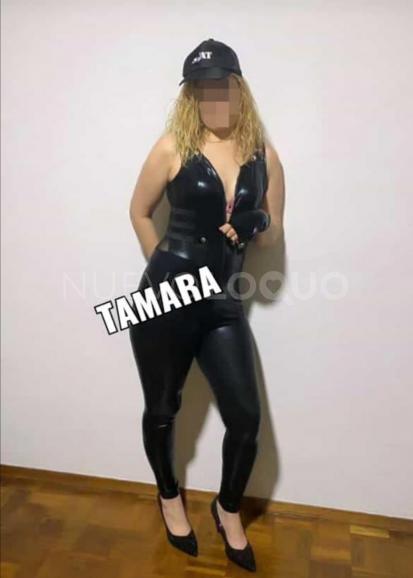 NuevoLoquo3