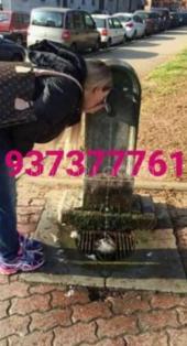 Maya masajes _body brasileña masajista muy SENSUAL atrevete