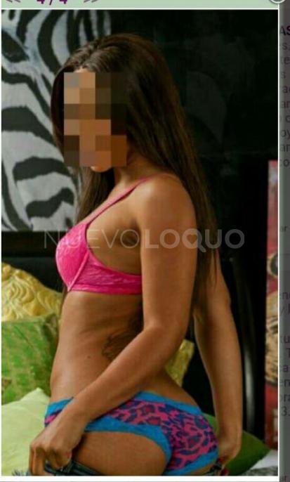 NuevoLoquo2
