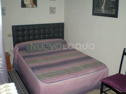 NuevoLoquo3