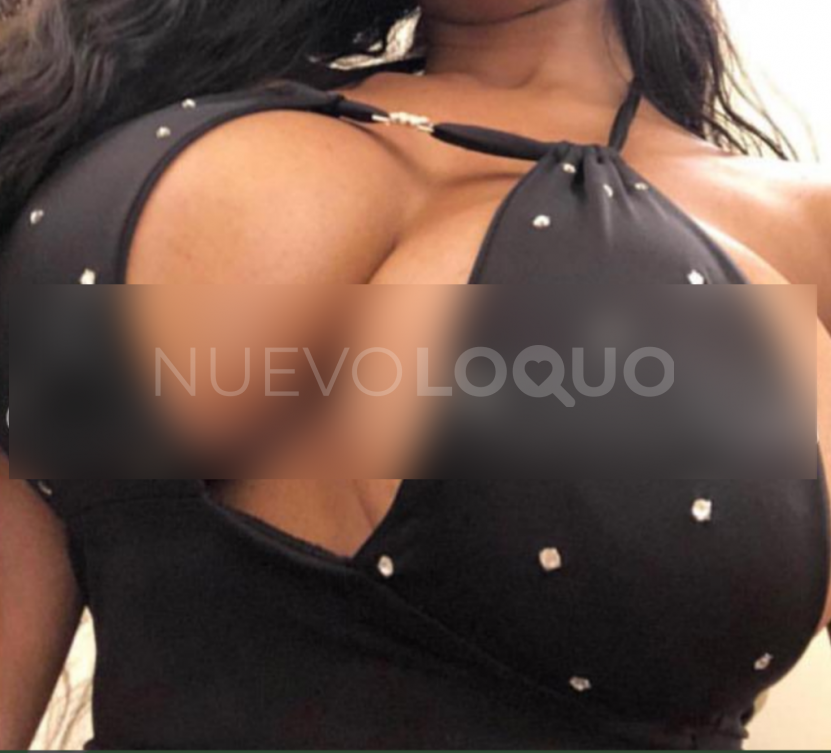 NuevoLoquo2