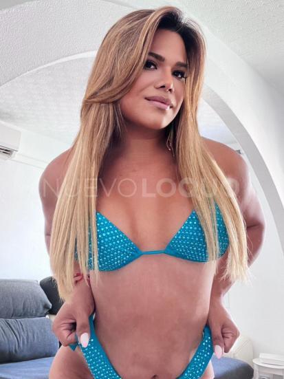 NuevoLoquo3