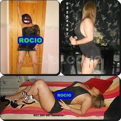 NuevoLoquo2