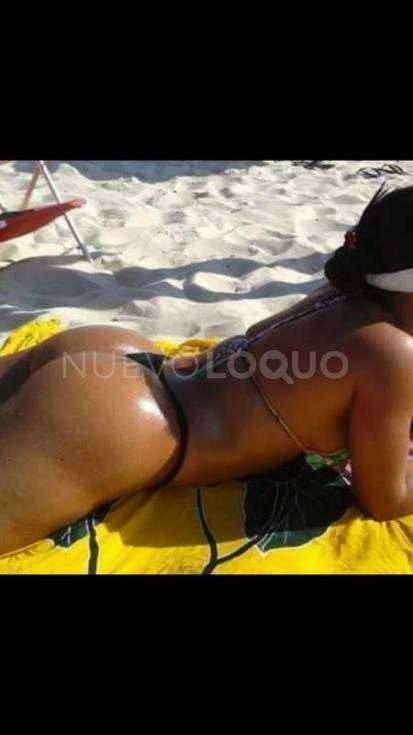 NuevoLoquo3