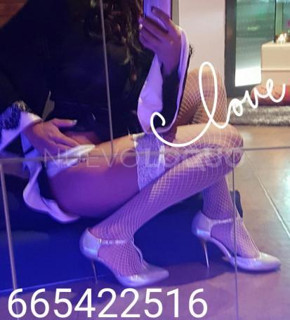 NuevoLoquo2