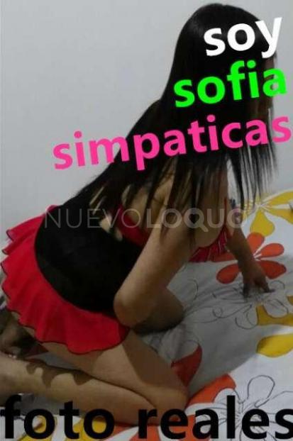NuevoLoquo1