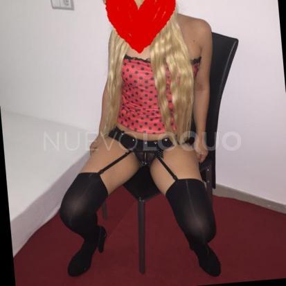 NuevoLoquo4