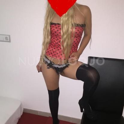 NuevoLoquo5
