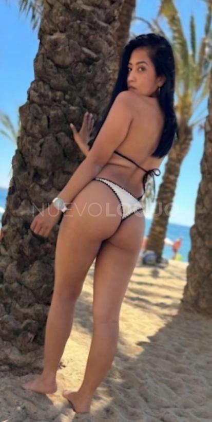 NuevoLoquo3