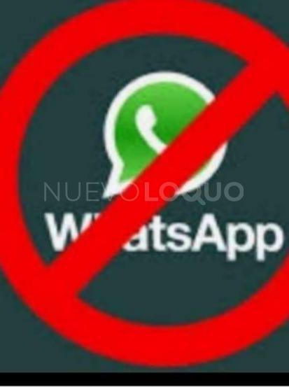 NuevoLoquo2