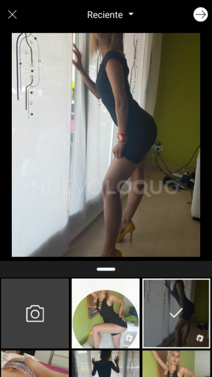 NuevoLoquo1