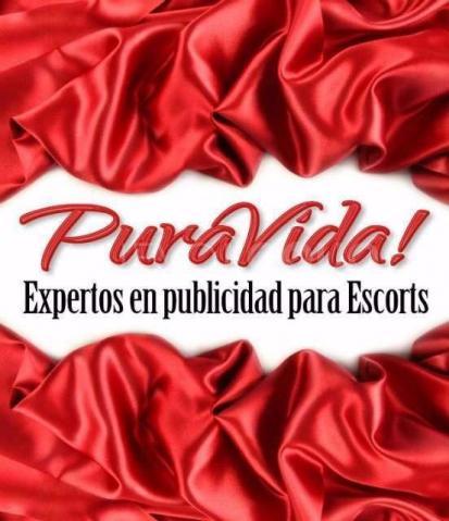 NuevoLoquo2