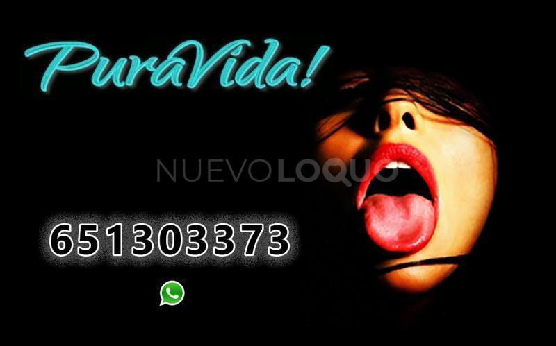 NuevoLoquo4