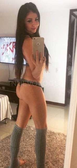NuevoLoquo2