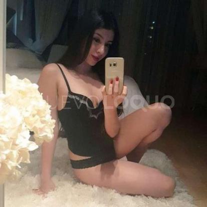 NuevoLoquo3