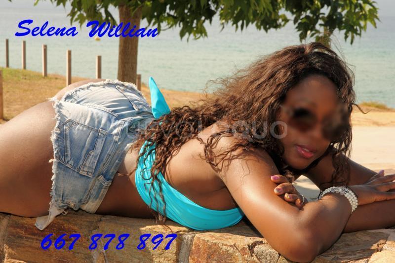 NuevoLoquo3