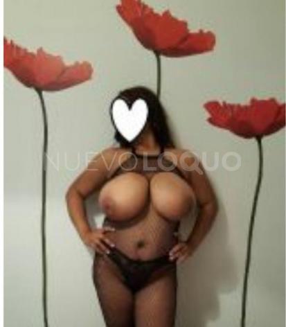 NuevoLoquo1