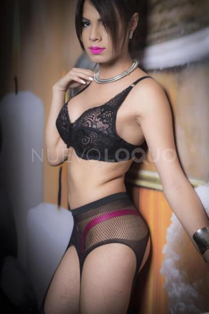 NuevoLoquo2