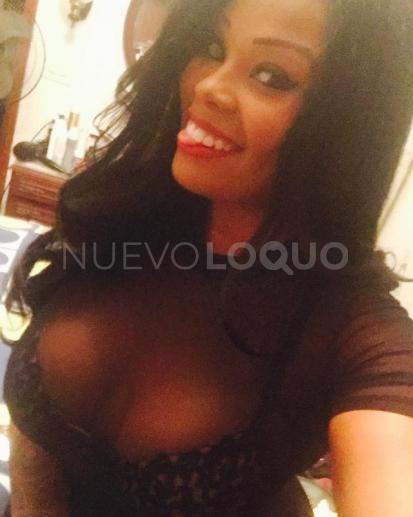 NuevoLoquo4