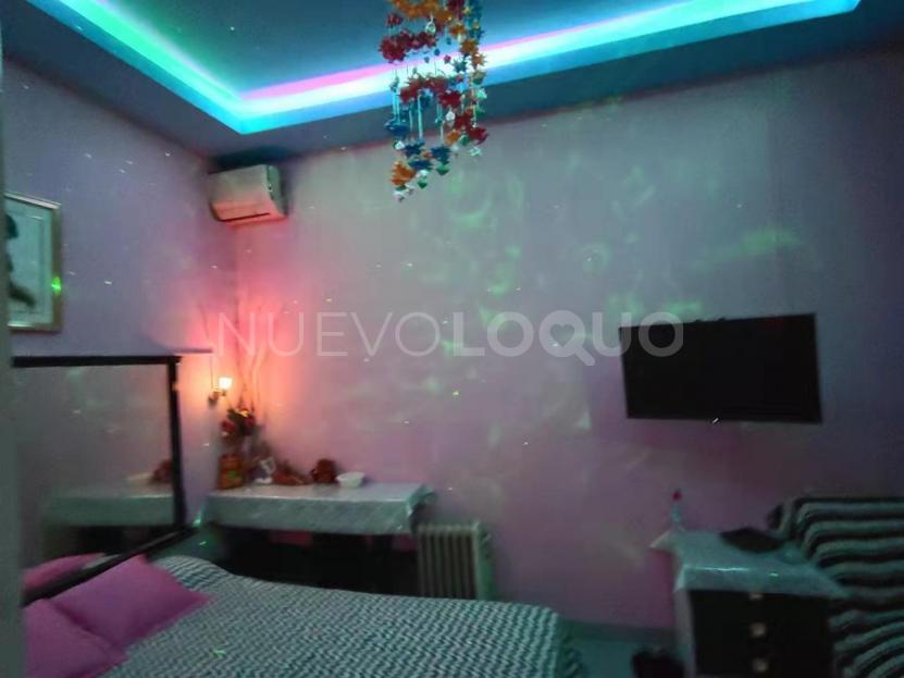NuevoLoquo5