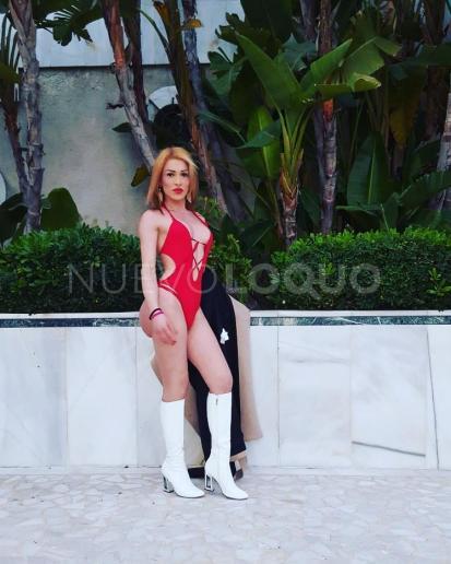 novedad super completisima unica ardiente no digo nol ha nada