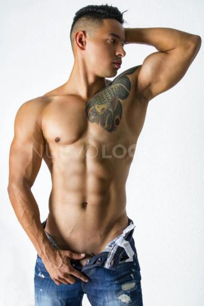  Novedad Chico de Lujo