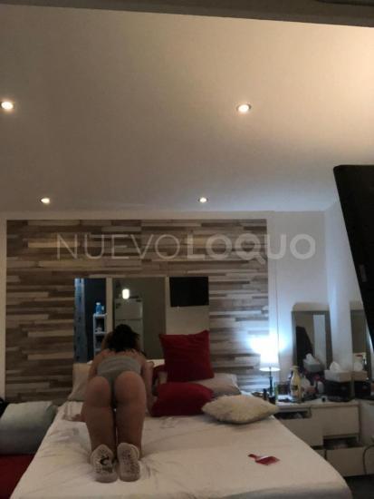 NuevoLoquo2