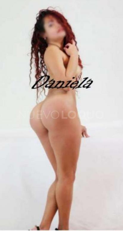 NuevoLoquo3
