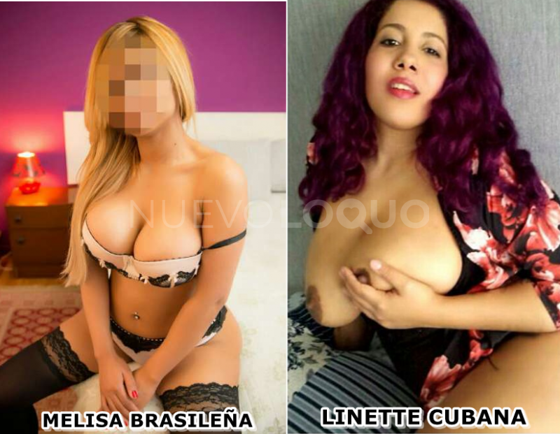 NuevoLoquo1