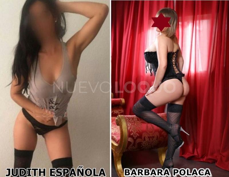 NuevoLoquo2